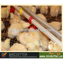 Automatic stainless steel water trough for chicken and broiler